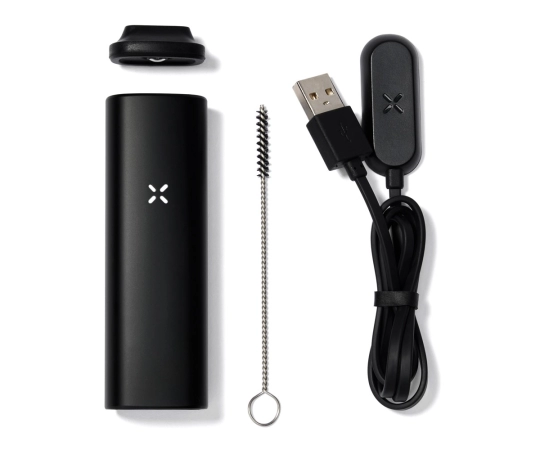 PAX Mini - Onyx