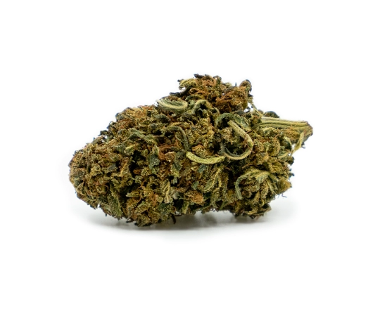 Cheese Outdoor 11%