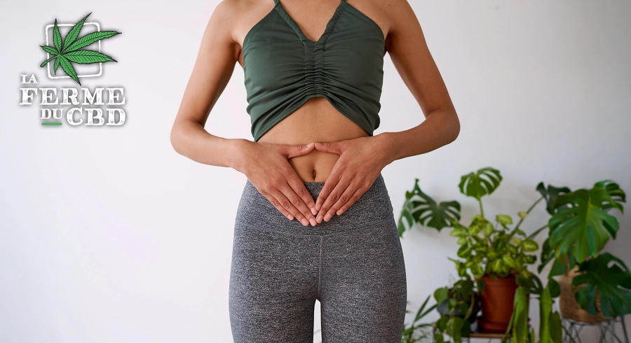 CBD et constipation : comprendre les effets et bien utiliser