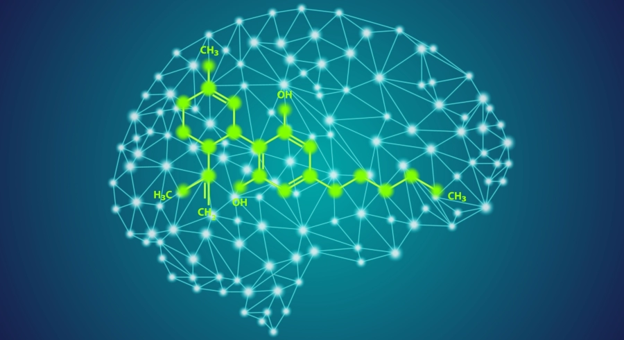 Quel est l’effet du CBD sur le cerveau ?