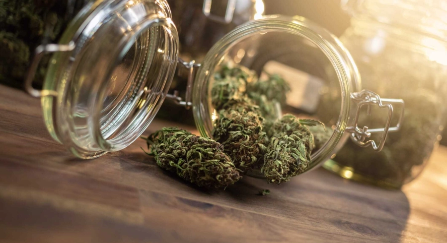 Les effets du CBD