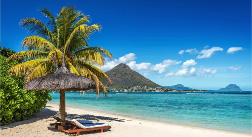 Le CBD à usage thérapeutique bientôt autorisé sur l’île Maurice ?