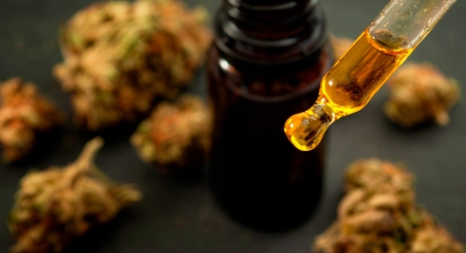 Comment utiliser l’huile de CBD