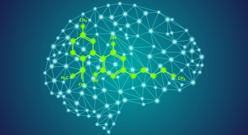 Quel est l’effet du CBD sur le cerveau ?