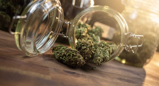 Les effets du CBD
