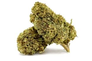 Runtz Harmony Green House 16%