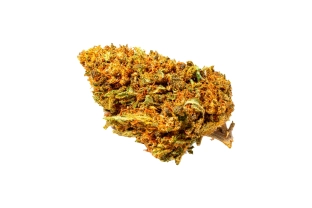Special Sauce Outdoor 15%