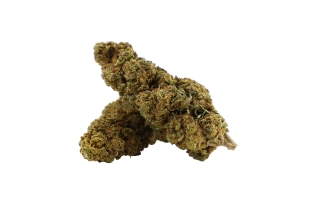 Tropical Haze Outdoor 12%