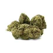 Bubble Gum Indoor 14%